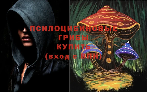 бошки Верхний Тагил