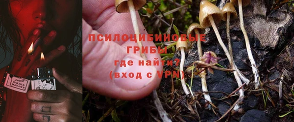 ГАЛЛЮЦИНОГЕННЫЕ ГРИБЫ Верхнеуральск