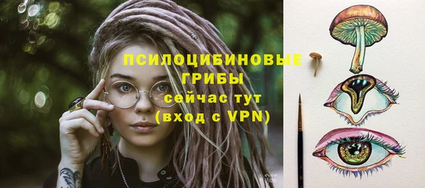 mdpv Бородино