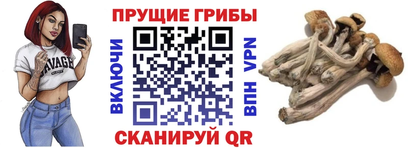 Псилоцибиновые грибы мухоморы  Каргат 